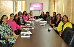 ​Fecomércio discute implantação da Câmara das Mulheres Empreendedoras e Gestoras de Negócios no Tocantins