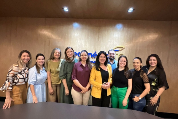 CMEG Tocantins realiza reunião de planejamento das ações para 2026